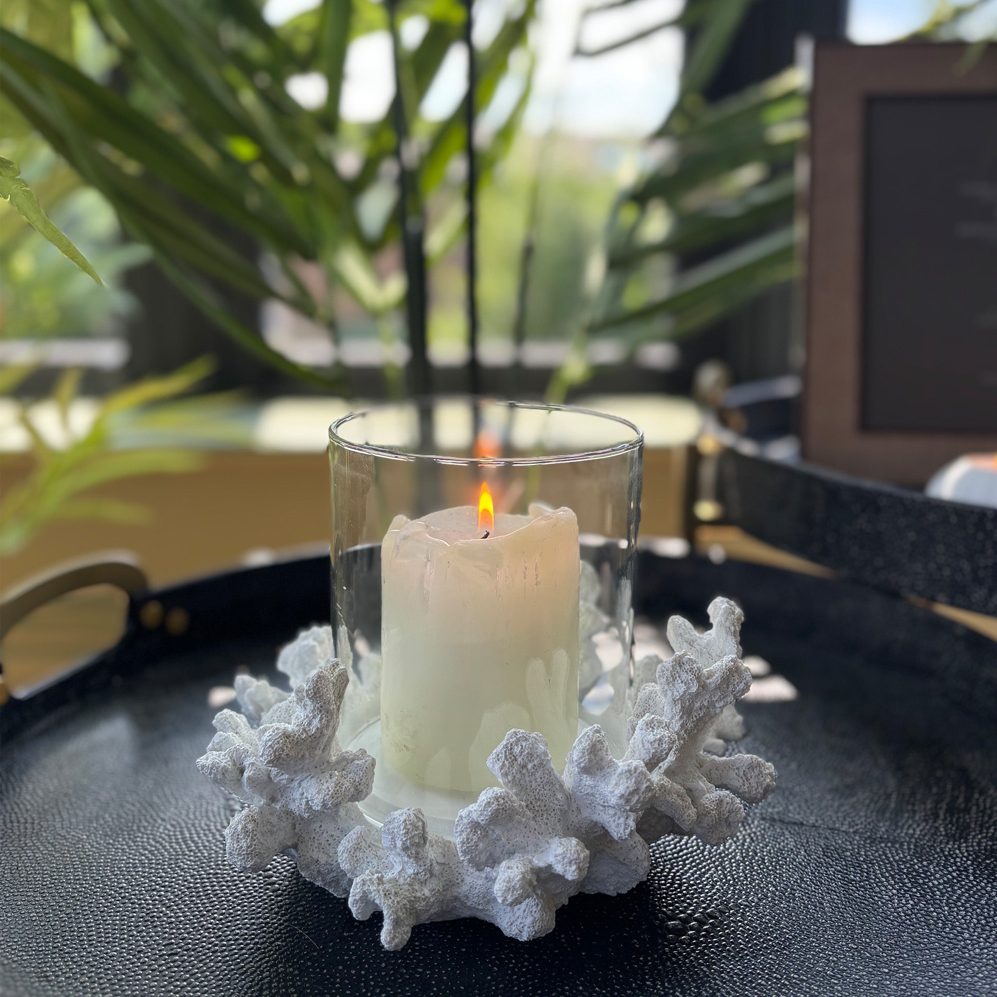 Sea Coral Candle Holder